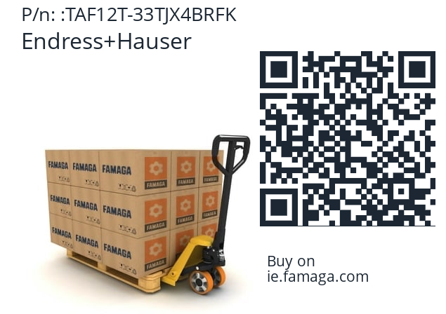   Endress+Hauser TAF12T-33TJX4BRFK