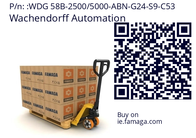   Wachendorff Automation WDG 58B-2500/5000-ABN-G24-S9-C53